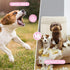 4 Pack Puppy Chew Toys for Teething Small Dogs, Pink Soft Rubber Dog Teething Toys Set for Puppies, Cute Squeaky Dog Toys for Small Breed Cleaning...