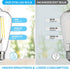 MAXvolador Vintage LED Edison Bulb Dimmable 60W Equivalent 850 Lumens, 6W Edison Light Bulbs 5000K, Antique ST58 LED Filament Bulb E26 Base, Pack ...
