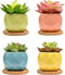 4 Pack Succulent Planters, Small Ceramic Plant Pots, Pots for Plants Indoor with Srainage (06)...