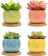 4 Pack Succulent Planters, Small Ceramic Plant Pots, Pots for Plants Indoor with Srainage (06)...