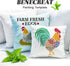BENECREAT Large Rooster Pattern Plastic Painting Stencils, 12x12inch Farm Animals Poultry Drawing Template for Painting on Floors, Walls, Doors, T...