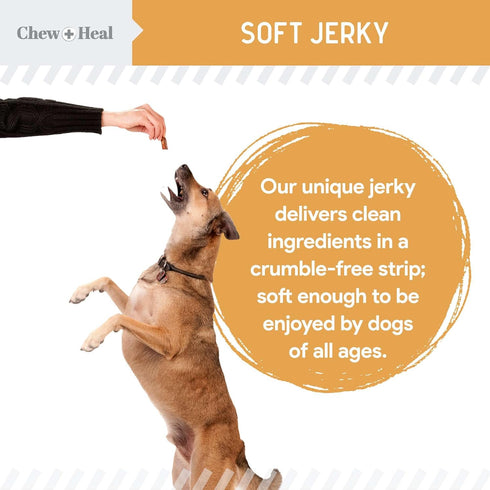 Chew + Heal Labs Omega Salmon Jerky Dog Treats - 5 oz of Soft Salmon Jerky for Skin and Coat - Made with Wild Alaskan Salmon, Flaxseed, Oat Flour,...