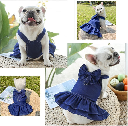 ANIAC Denim Dog Dresses for Small Dogs Puppy Girl Clothes with Leash Ring and Cute Bow Knot Summer Cat Apparel with D-Ring Blue Girl Dog Clothes (...