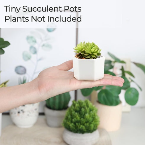 T4U Small White Succulent Planter Pots with Bamboo Tray Hexagon Set of 2, Geometric Ceramic Cactus Plant Holder, Succulent Plant Gifts for Gardene...