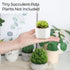 T4U Small White Succulent Planter Pots with Bamboo Tray Hexagon Set of 2, Geometric Ceramic Cactus Plant Holder, Succulent Plant Gifts for Gardene...