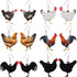 6 Pairs Acrylic Hen Chicken Earrings Animal Rooster Drop Dangle Earrings Cute Farm Chicken Jewelry for Girl Women Ladies Gift...