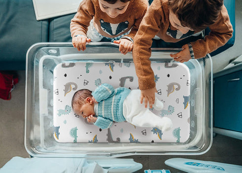 GRSSDER Stretchy Ultra Soft Fitted Bassinet Sheet Set 2 Pack, Universal Fit for Bassinets Baby Cradle Moses Basket Oval Rectangle Pad/Mattress, Ha...