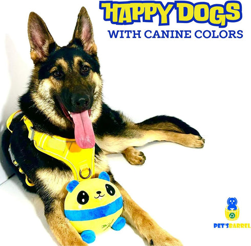 PET’SBARREL Active Moving pet Plush Toy for Dogs. 2024 New Interactive Dog Toy - Vibrant Yellow and Blue Plush Toy. Active Dog Toys Bouncing Dog B...