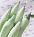 4 Pcs Erasable Retractable Pens Cute Panda Gel Ink Pens Soft Grip Pens 0.5mm Fine Point Pen Office School Pens Women Girls Boys Pens (Blue Ink-Pan...