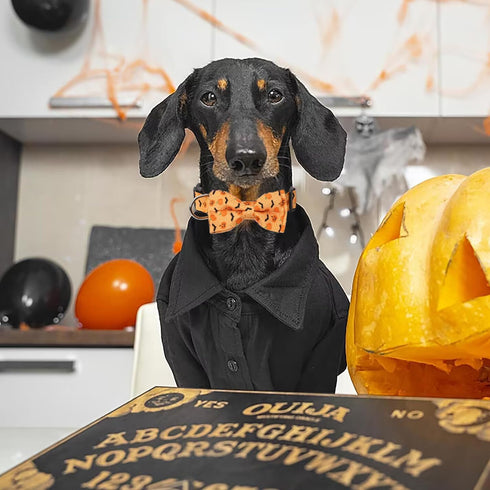 Halloween Dog Collars Middle Orange Dog Bow Tie Collar Adjustable Pumpkin Dog Collar Halloween Theme Dog Bowties with Plastic Buckle Halloween Pet...