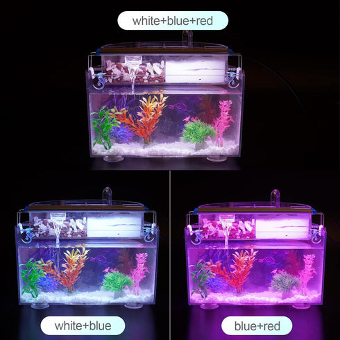 LED Aquarium Light Full Spectrum Fish Tank Lights 7" 8" 10" 12" 8W Multi-Color Freshwater Saltwater Plant Lamp White Blue Red LEDs...