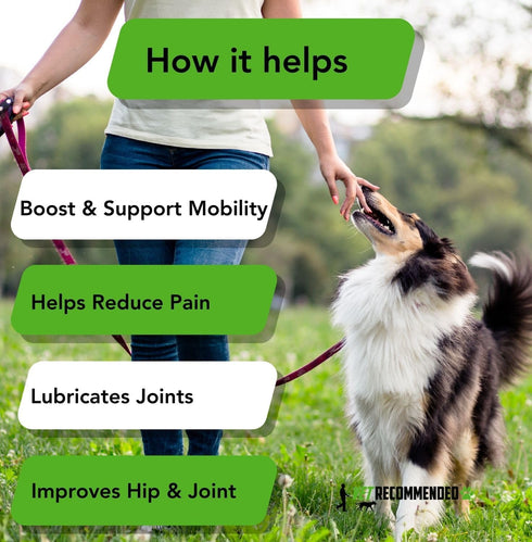 Vet Recommended™ Hip and Joint Supplement Chew for Small & Medium Dogs - Glucosamine, MSM & Chondroitin Chews | 60 Count...