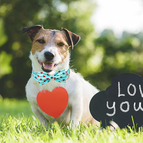 Valentine's Day Dog Collar with Bow Tie,Green Love Heart Signal Male Dog Collar with Safety Metal Buckle Adjustable Puppy Collars for Small Medium...