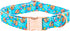 Lionheart glory Easter Dog Collar Colorful Collar for X-Small Dog Collars Easter Egg Print Dog Collars Spring Female or Male Pet Gift Adjustable H...