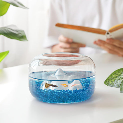 T4U Fish Tank Gravel 1 LB, Tumbled Small Rocks for Aquarium, Glass Beads for Vases, Succulent Rocks for Plants, Aquarium Gravel Decorative Pebbles...
