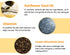 C'NEW LAB Real Propolis Moisture & Glow Boosting Cream, Hydrating Moisturizer with 60.1% Tri-Propolis,1.69 fl.oz / 50ml, Korean Skincare...