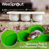 WeeSprout Silicone Freezer Tray with Clip on Lid Perfect Food Storage Container for Homemade Baby Food, Vegetable, Fruit Purees, and Breast Milk (...