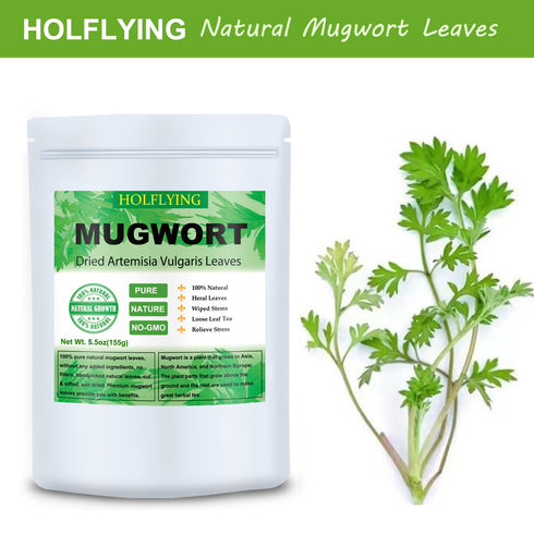 Dried Mugwort Leaves, 5.5oz(155.0g), Mugwort Leaf, Natural Artemisia Vulgaris Herbal Loose Leaves...