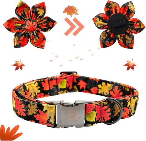 Elegant little tail Dog Collar with Flower - Fall Dog Collar Maple Leaf Flower Girl Boy Pet Collar Gift Soft Dog Flower Collars for X-Small Puppy...