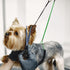 Pet Grooming Loops Dog Grooming Supplies, Pet Belly Loop Restraint No Sit Haunch Holder for Pet Dog Grooming Arm and Table, Stainless Steel Sturdy...