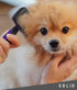 Pet Slicker Brush - Dog & Cat Brush for Shedding & Grooming - Dematting & Detangling Self-Cleaning Brushes for Dogs, Cats & Pets...