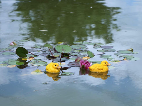 Floating Resin Duck Figurine Pond Décor Garden Lawn Patio Outdoor Statue Yellow (Set of 2)...