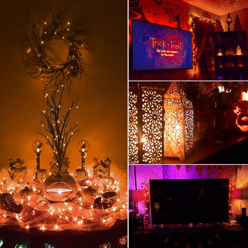 Halloween Orange Fairy String Lights: 12 Pack 7 Ft 20 LED Battery Operated Firefly Lights on Black Wire Starry Moon Lights for DIY Party Bedroom P...