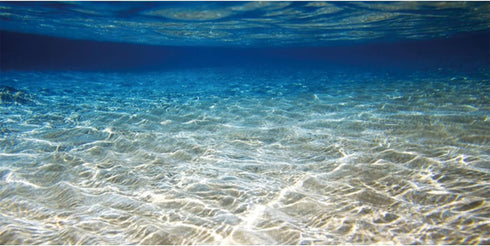 AWERT 24x12 inches Ocean Floor Aquarium Background Underwater Fish Tank Background Undersea Theme Aquarium Background...
