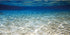 AWERT 24x12 inches Ocean Floor Aquarium Background Underwater Fish Tank Background Undersea Theme Aquarium Background...