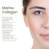 Collagen Serum For Face by Natural Outcome Skin Care - Ultra Impact Marine Collagen Peptides Serum for Face - Facial Moisturizer Anti Aging Serum ...