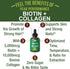 Liquid Collagen for Women and Men with Biotin. Advanced 2-in-1 Oral Drops for Hair Growth, Skin, and Nails. 10,000 mcg Bovine Collagen Peptides + ...
