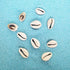 8 Ounces (160~220pieces) Natural Spiral Cowrie Shell Beads Cut Sea Shell Connectors Beach Seashells Cowrie Shell Charms for Jewelry Making (Gray 0...