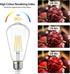 6 Packs ST58 LED Edison Bulbs, 4 Watt Vintage Light Bulbs Equivalent to 40 Watts, High Brightness 5000K Daylight White Light Bulbs, 90+ CRI, 480 L...