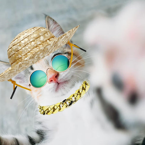6PCS Pet Dog Cat Costume, Retro Pet Sunglasses, Adjustable Gold Chain Collar & Straw Hat, Funny Pet Accessories for Cat Puppy Small Medium Dog Bir...