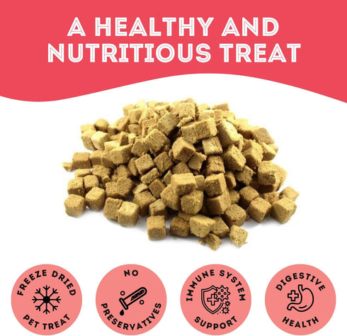 Freeze Dried Turkey Treats for Dogs & Cats (1.76 oz, Pack of 1) - Single Ingredient Flash Frozen to Maintain Nutrients Vitamins and Healthy Oils M...