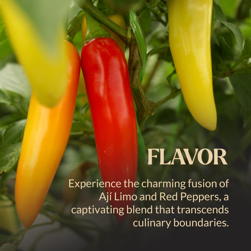 Kusi Foods Peruvian Hot Sauce 8.5 oz, Limo Chili & Red Bell Peppers, Fermented 50 days, Natural ingredients, Perfect Sauce For Seafood, Steak, Chi...