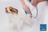 Dog Bath Brush, Massaging Pet Brush Scrubber, Silicon Shampoo Brush with Rubber Bristles, Removes all Loose Fur, Brush for Long, Medium, and Short...