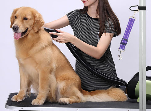 Pet Dog Grooming Arm Accessories Supplies Compatible for Groomers Helper Grooming Loop Dog Grooming Extension Strap Adjustable Dog Grooming Table ...