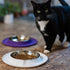 Messy Cats Single Silicone Feeder with Stainless Saucer Shaped Bowl | Anti-Slip Non-Skid Cat Food Bowl | One Cat Bowl in Feeding/Water Station | 1...