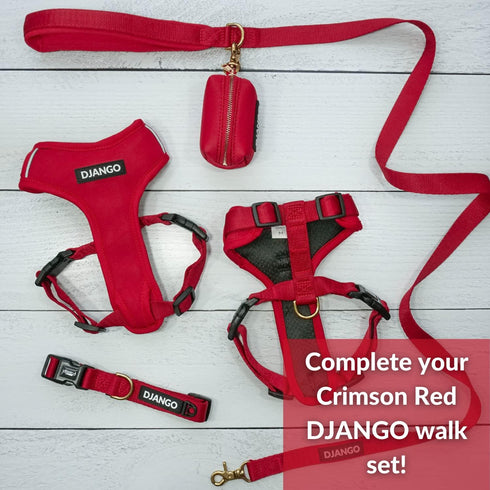 DJANGO Adventure Dog Leash – Strong, Comfortable, and Stylish Dog Leash with Solid Brass Hardware and Padded Handle - Designed for Outdoor Adventu...