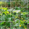 Tcamp Heavy-Duty Polyester Garden Trellis Netting Plant Climbing Net for Growing Vines Plants Vegetables Fruits Flowers, White Grow Tent (4.9Ft x1...