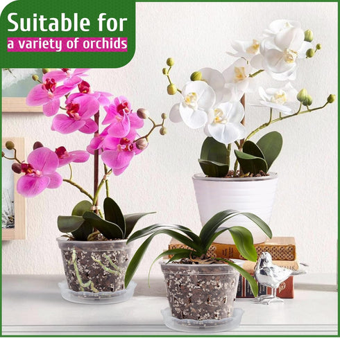 REMIAWY Orchid Pot, 8 Pack Orchid Pots with Holes and Saucers, 5.5 Inch Clear Orchid Pots for Repotting, Plastic Flower Plant Pot Indoor Outdoor, ...