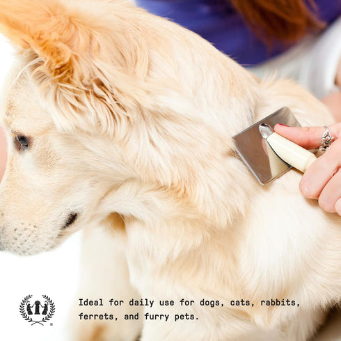 Muse Apothecary Pet Ritual Detangling Spray for Dogs & Cats, Pet Detangler Spray for Dogs, Dog Detangler Spray Dematting Conditioner, Dog Detangli...