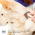 Muse Apothecary Pet Ritual Detangling Spray for Dogs & Cats, Pet Detangler Spray for Dogs, Dog Detangler Spray Dematting Conditioner, Dog Detangli...