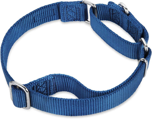 Hyhug Pets Premium Upgraded Heavy Duty Nylon Anti-escape Martingale Collar for Boy and Girl Dogs Comfy and Safe - Professional Training, Daily Use...
