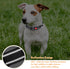 6 Pack Reflective Dog Collar with Safety Locking Buckle Soft Padded Breathable Nylon Pet Collar Adjustable Puppy Collar for Puppy Small Medium Lar...