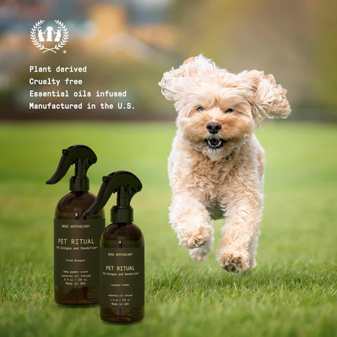 Muse Apothecary Pet Ritual Pet Cologne Spray for Dogs - Dog Perfume Spray Long Lasting After Bath - Pet Perfume for Dogs - Pet Deodorant Spray for...