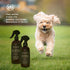 Muse Apothecary Pet Ritual Pet Cologne Spray for Dogs - Dog Perfume Spray Long Lasting After Bath - Pet Perfume for Dogs - Pet Deodorant Spray for...