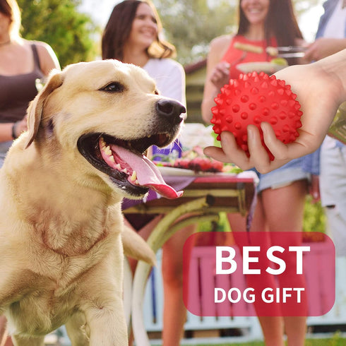 Apasiri Dog Balls Squeaky Dog Toys for Large Dogs, Dog Toys for Aggressive Chewers, Tough Spiky Dog Ball, Dog Ball, Floatable Rubber Pet Toys for ...