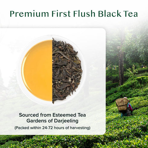 VAHDAM, First Flush Darjeeling Tea - 50 Cups (3.53oz) | Loose Leaf Black Tea - Flowery, Aromatic & Delicious | Picked, Packed & Shipped Direct Fro...